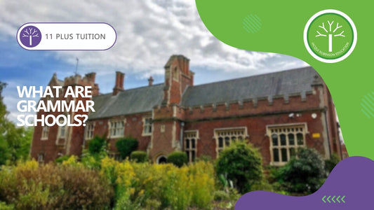 What are Grammar Schools